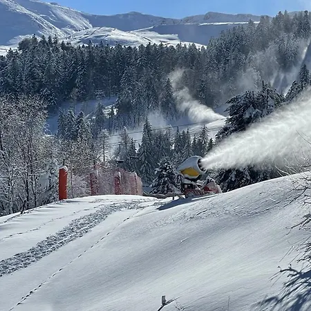 Studio-cabine Avec Balcon Proche Pistes Et Parking - Fr-1-787-113 Laveissière